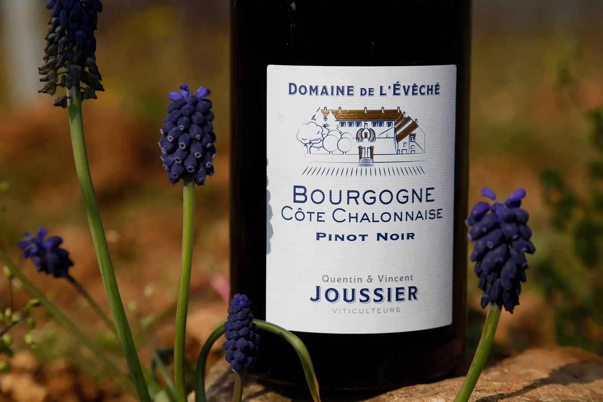 BOURGOGNE CÔTE CHALONNAISE ROUGE 2024