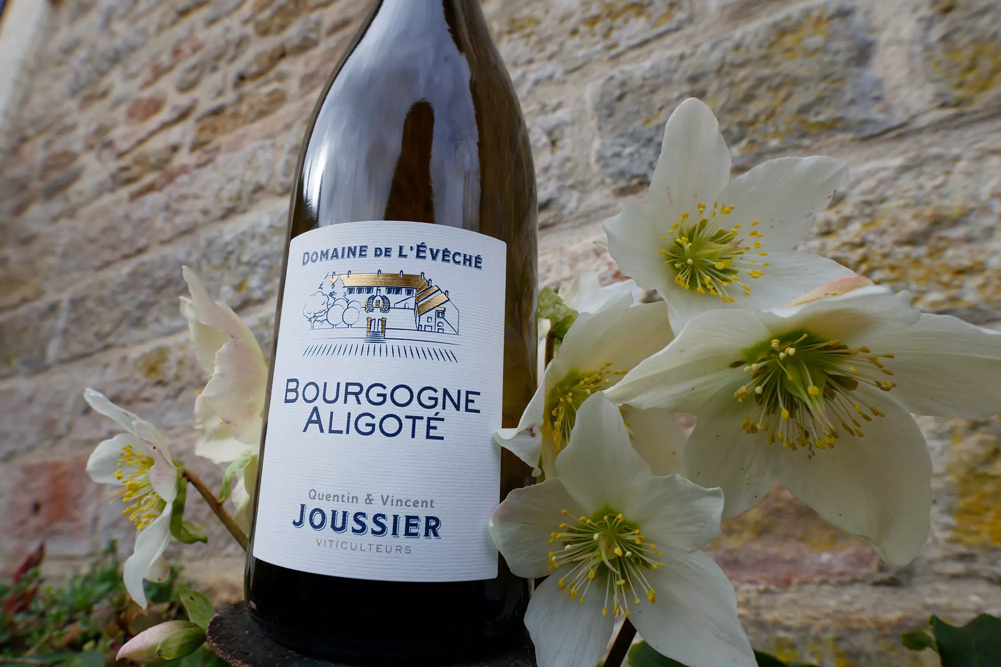 BOURGOGNE CÔTE CHALONNAISE Blanc 2024