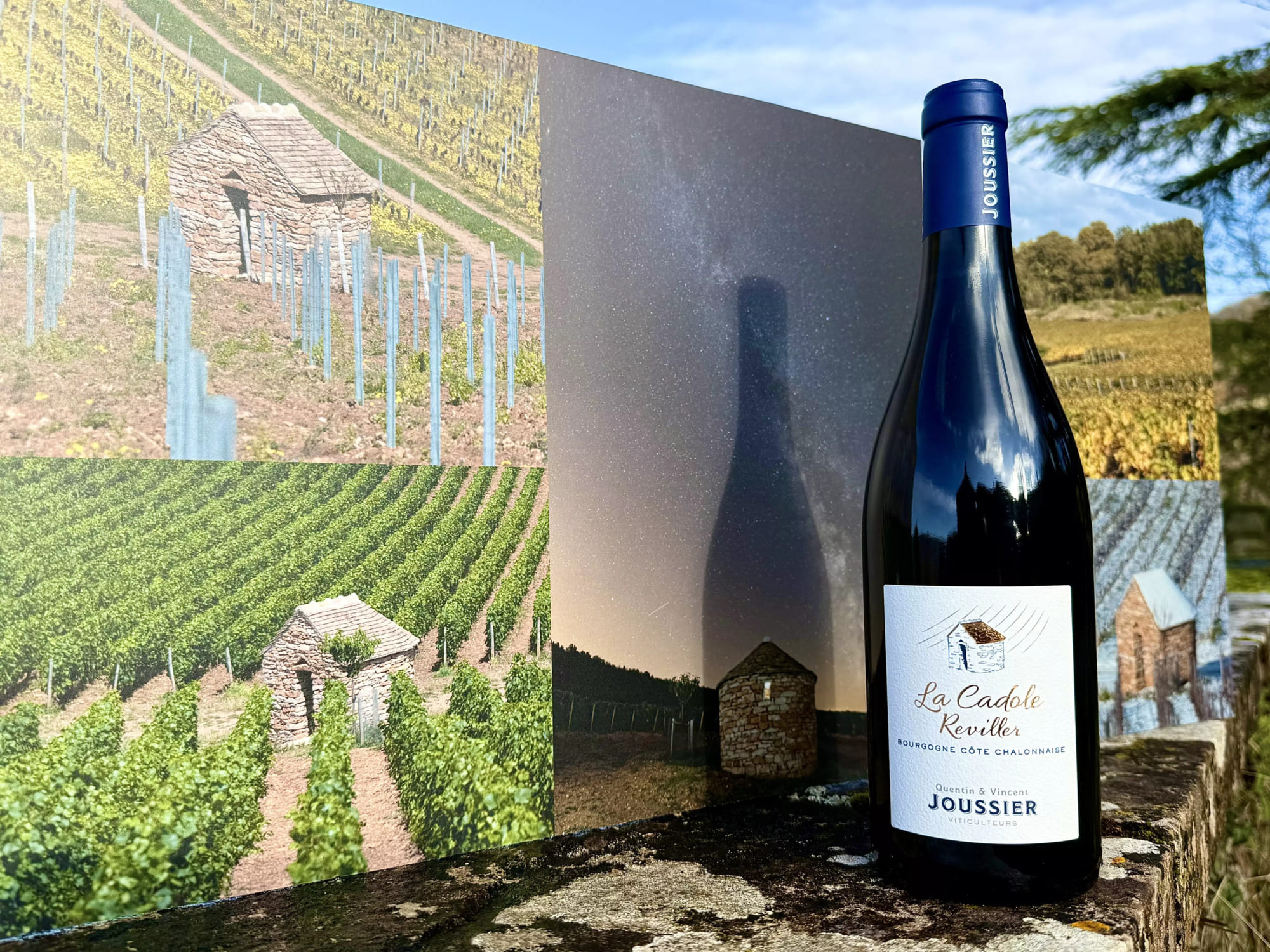 BOURGOGNE CÔTE CHALONNAISE ROUGE 2024