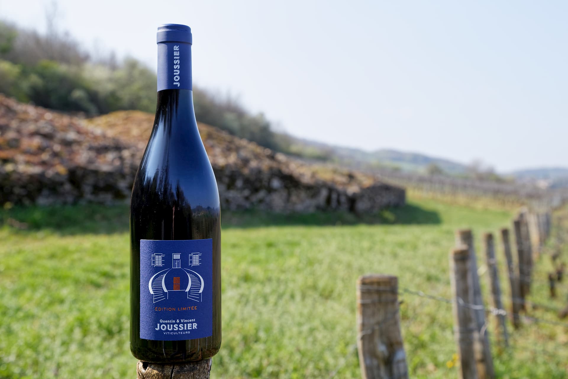 BOURGOGNE CÔTE CHALONNAISE ROUGE 2022