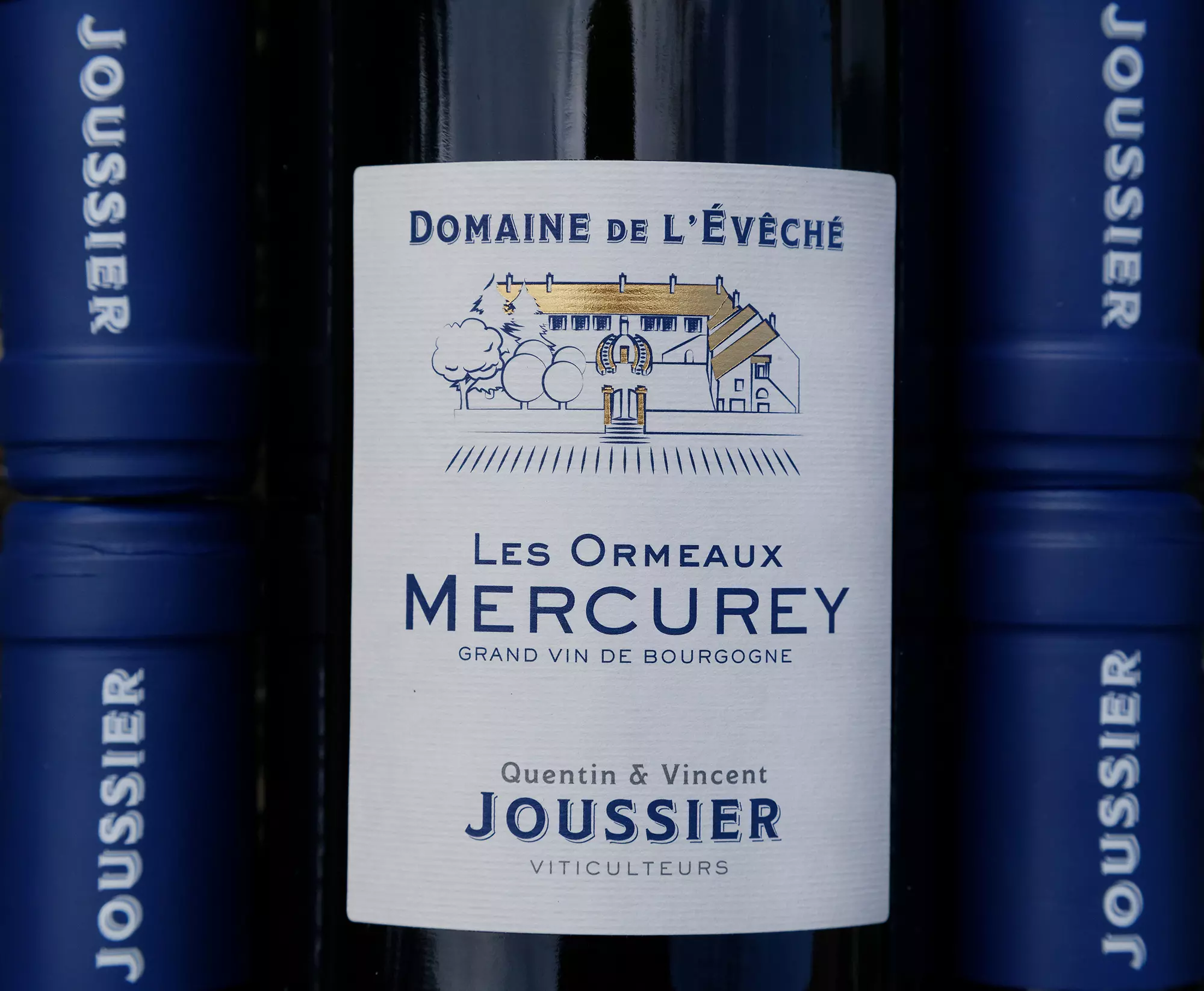 Mercurey Ormeaux 2024