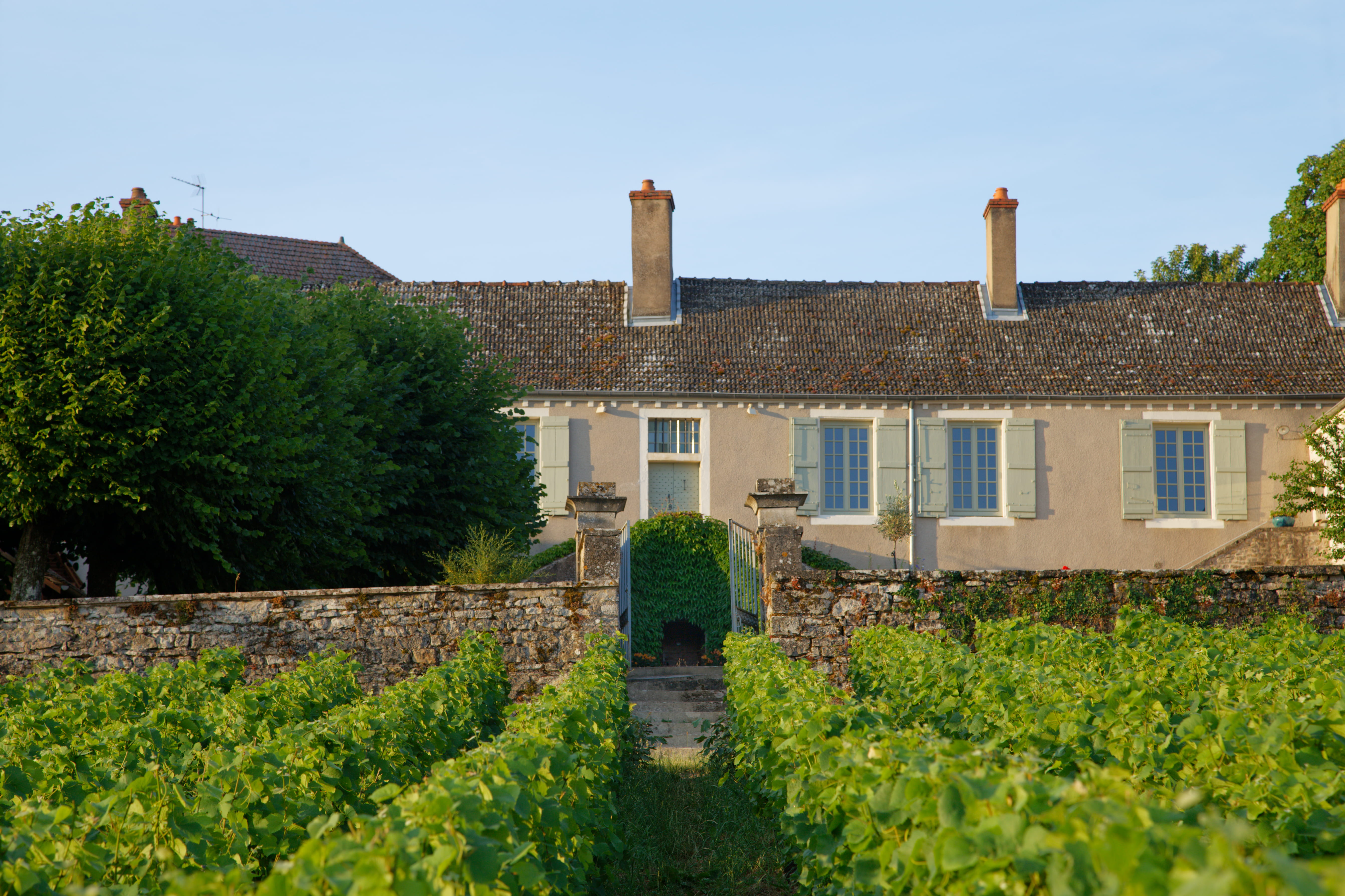 Domaine Vue sur Vigne